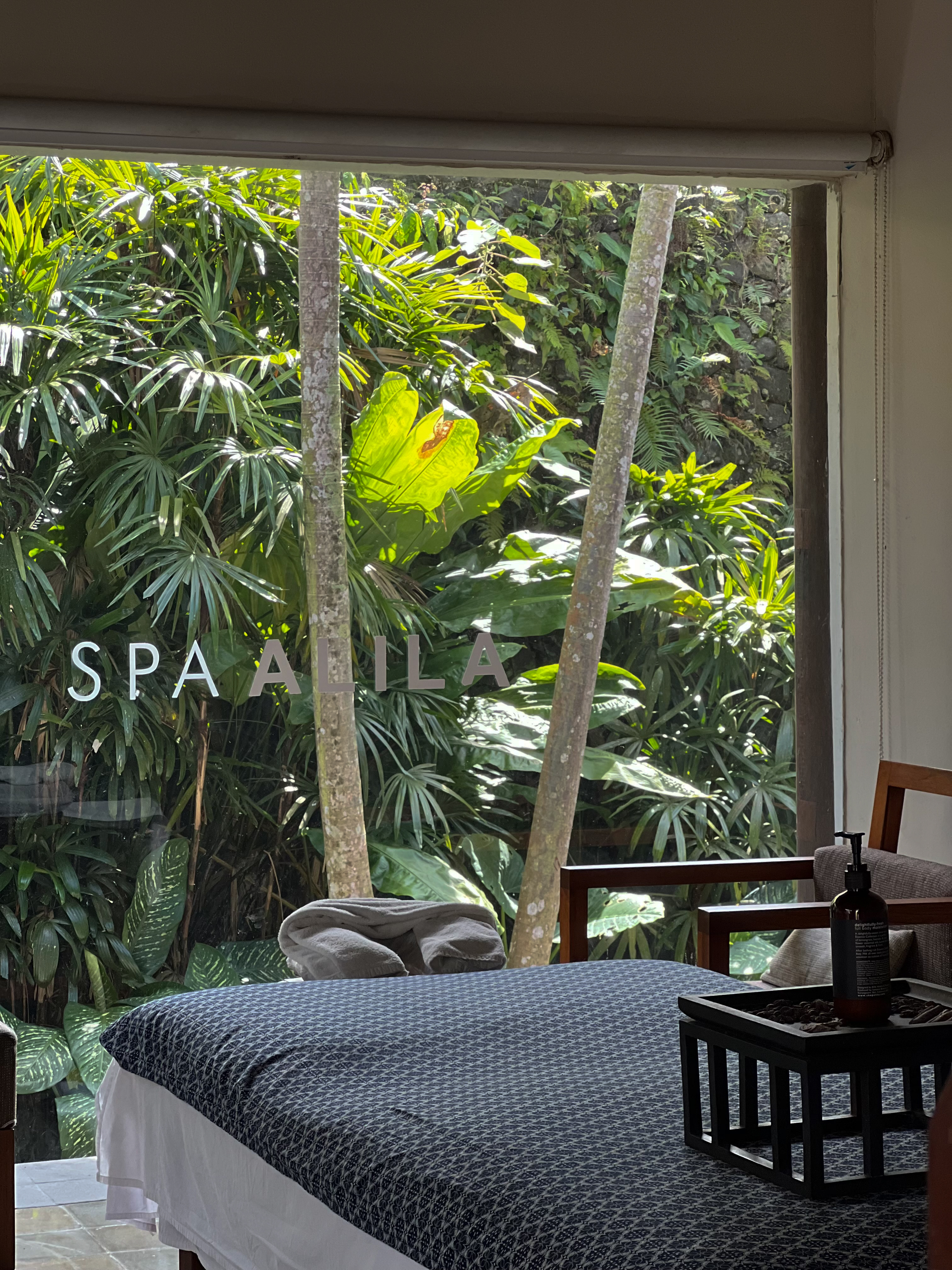 Spa Alila treatment room, jungle through glass, Ubud