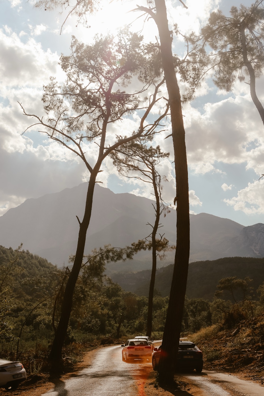 Through the pines, Antalya, Türkiye