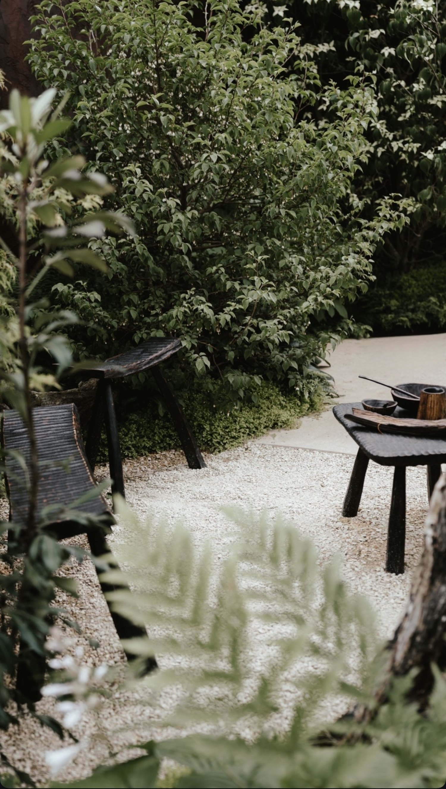Gravel path and charred timber seating, RHS Chelsea Flower Show 2022, London