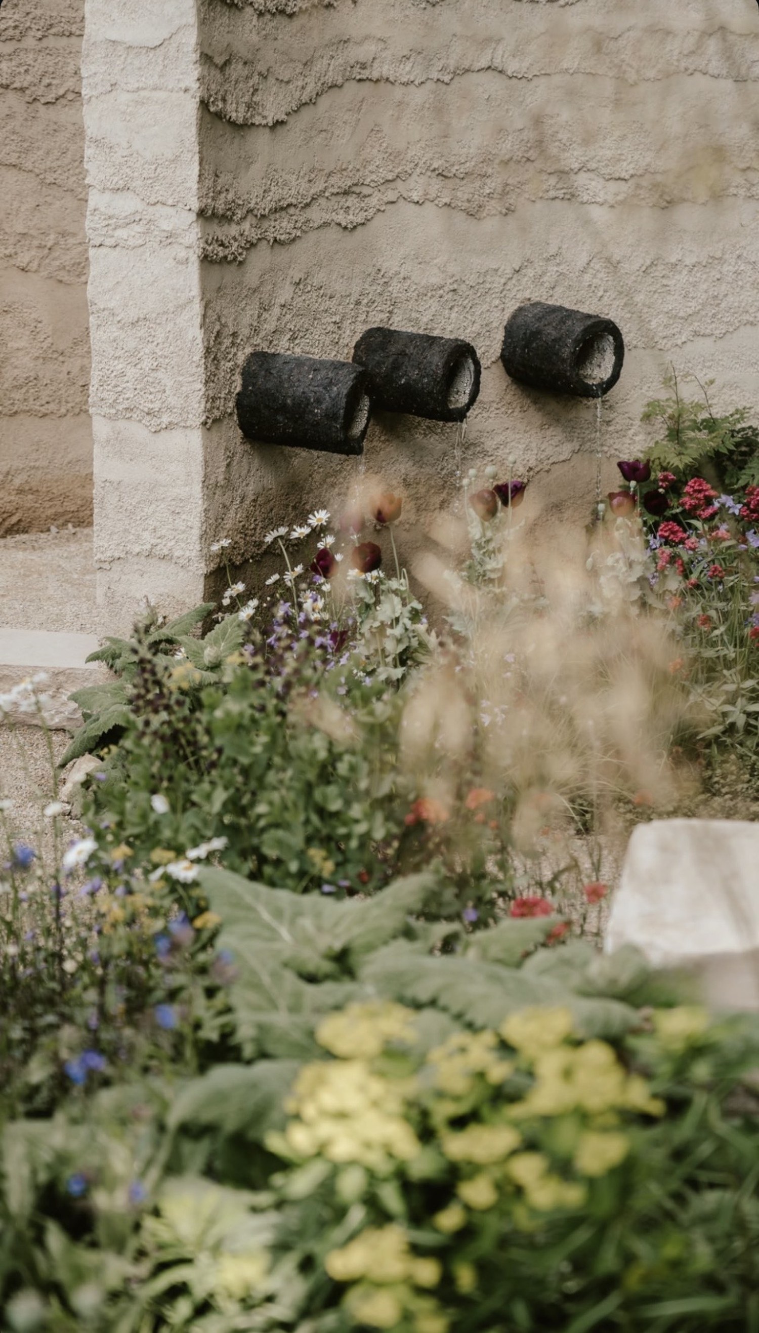 Rendered walls and planting in late light, RHS Chelsea Flower Show 2022, London