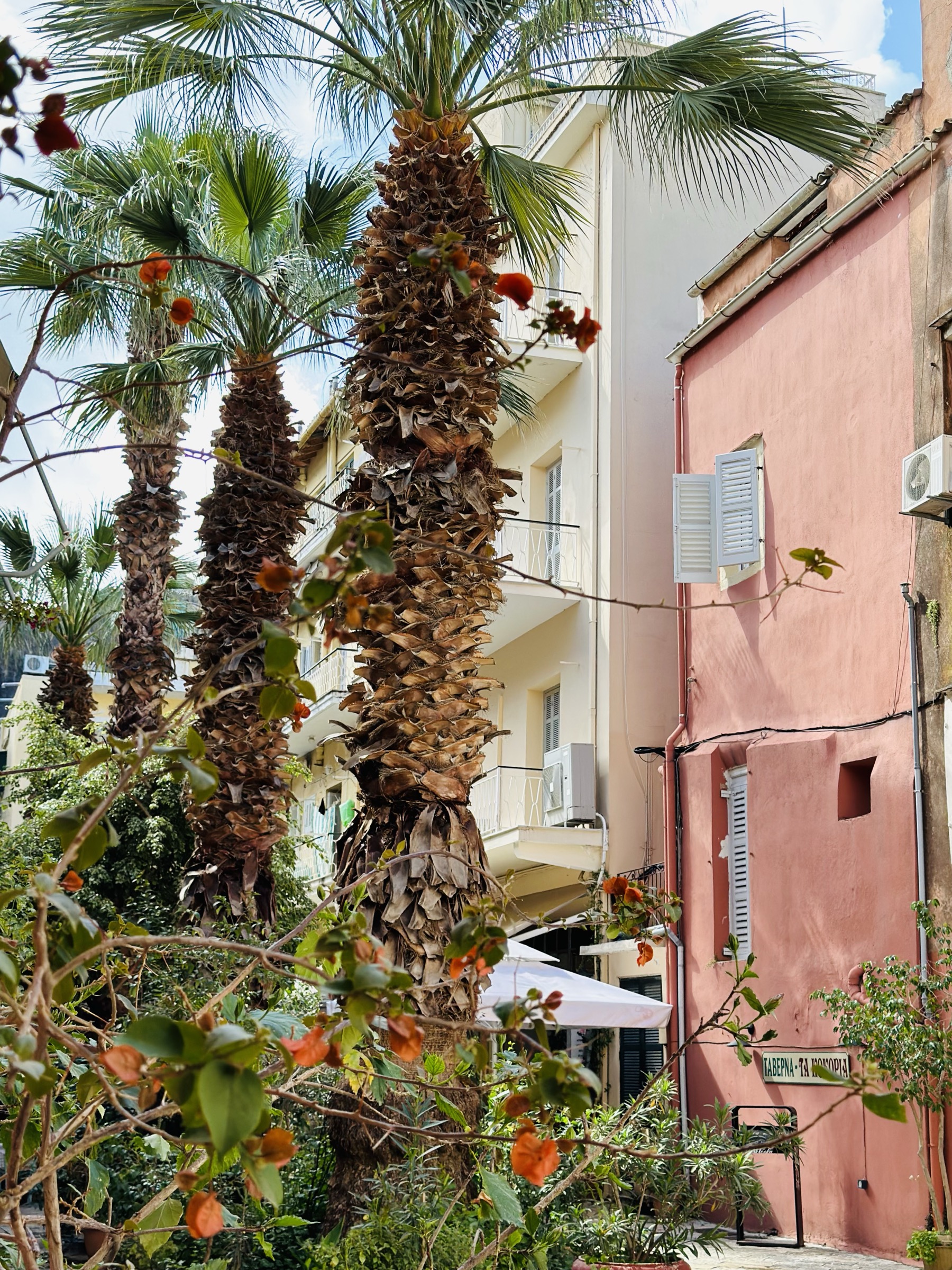 Palm trees beside a pink building, Corfu