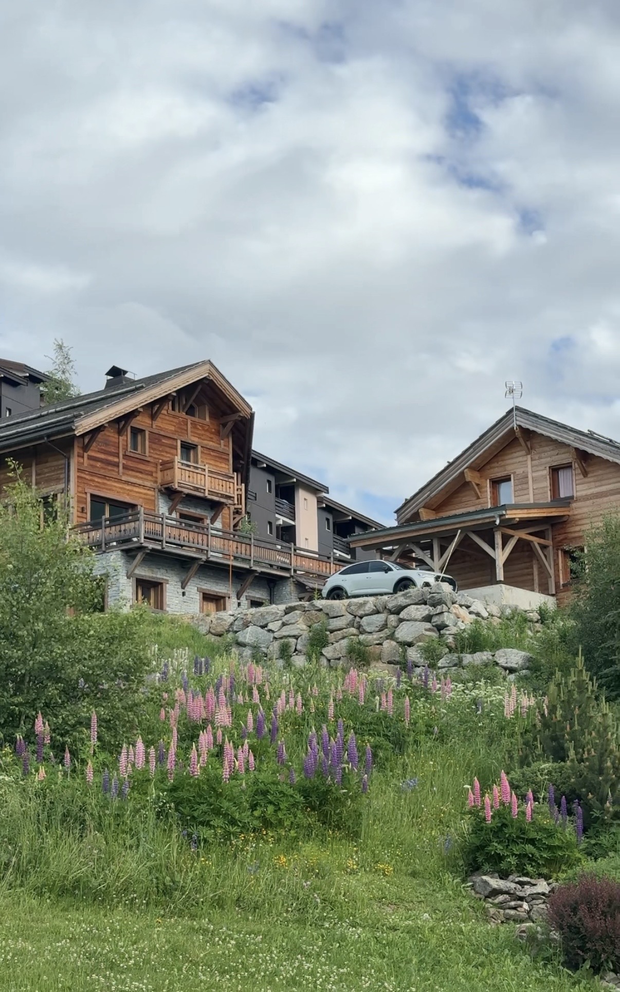 Timber chalets with wildflowers, French Alps