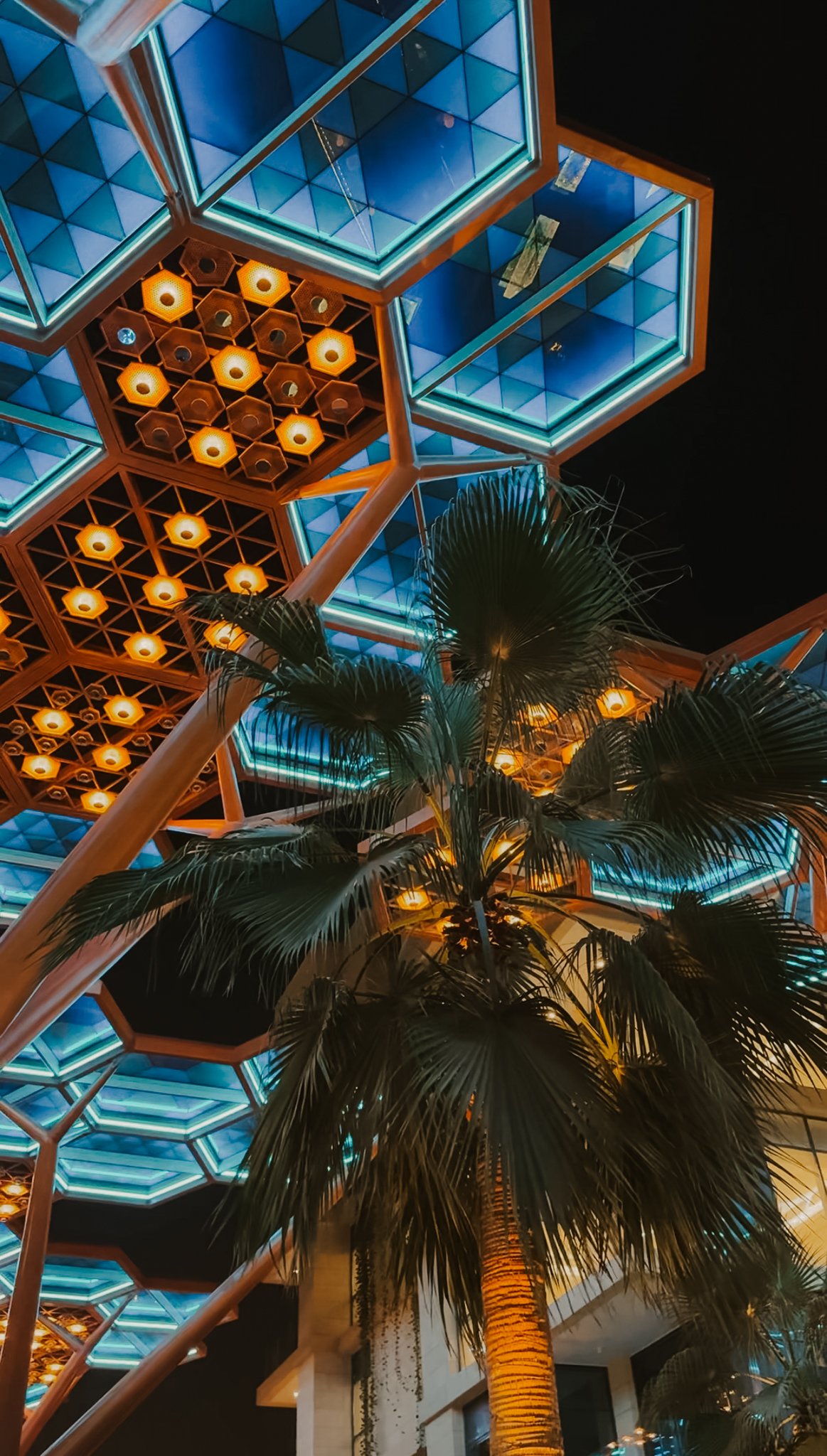 A crystal canopy and a real palm seen from below, Gewan Island, Doha