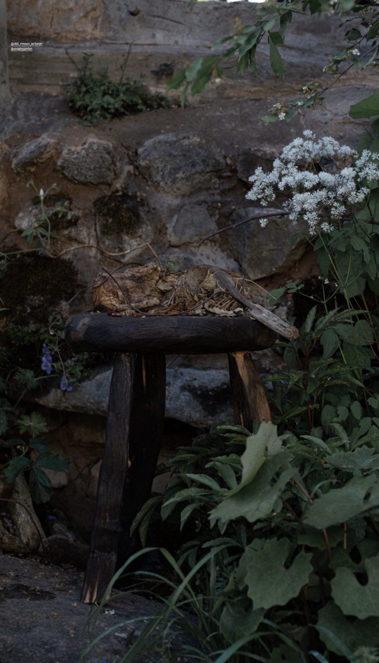 Memory, A Letter From A Million Years Past, Chelsea Flower Show 2023