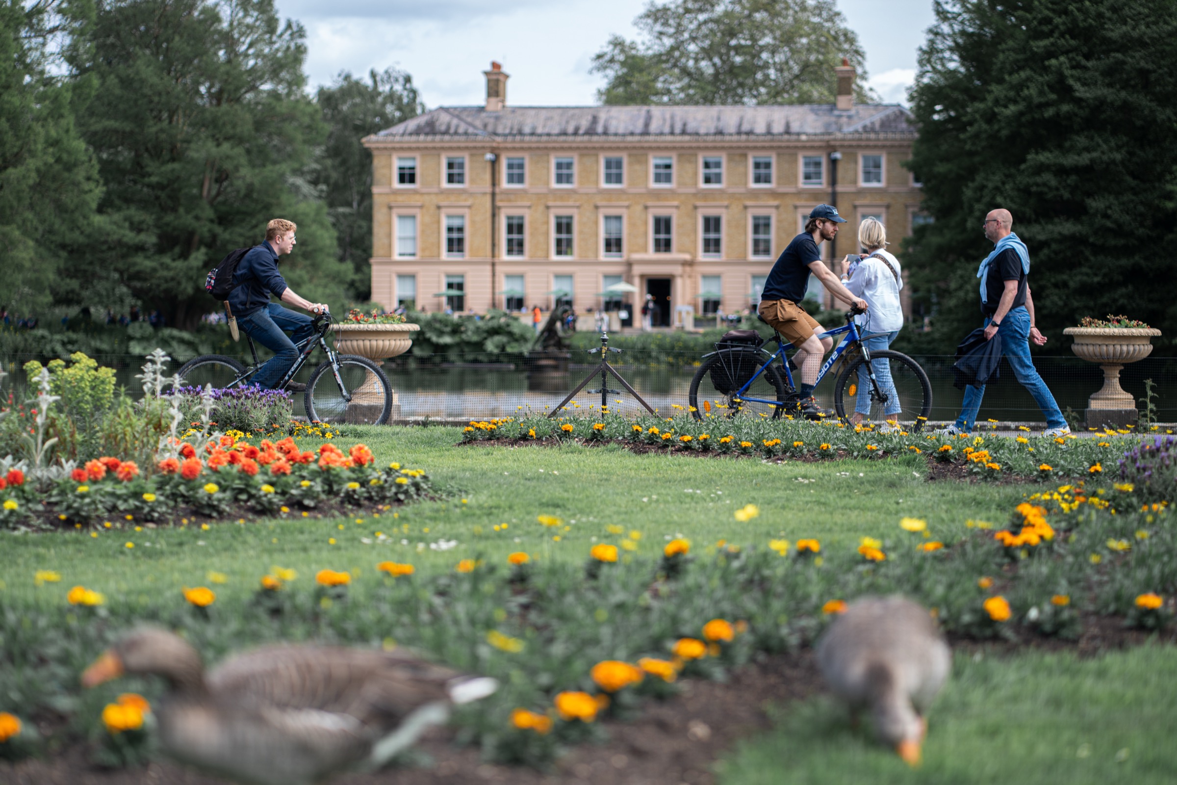 Visitors and geese on the lawn, Royal Botanic Gardens, Kew