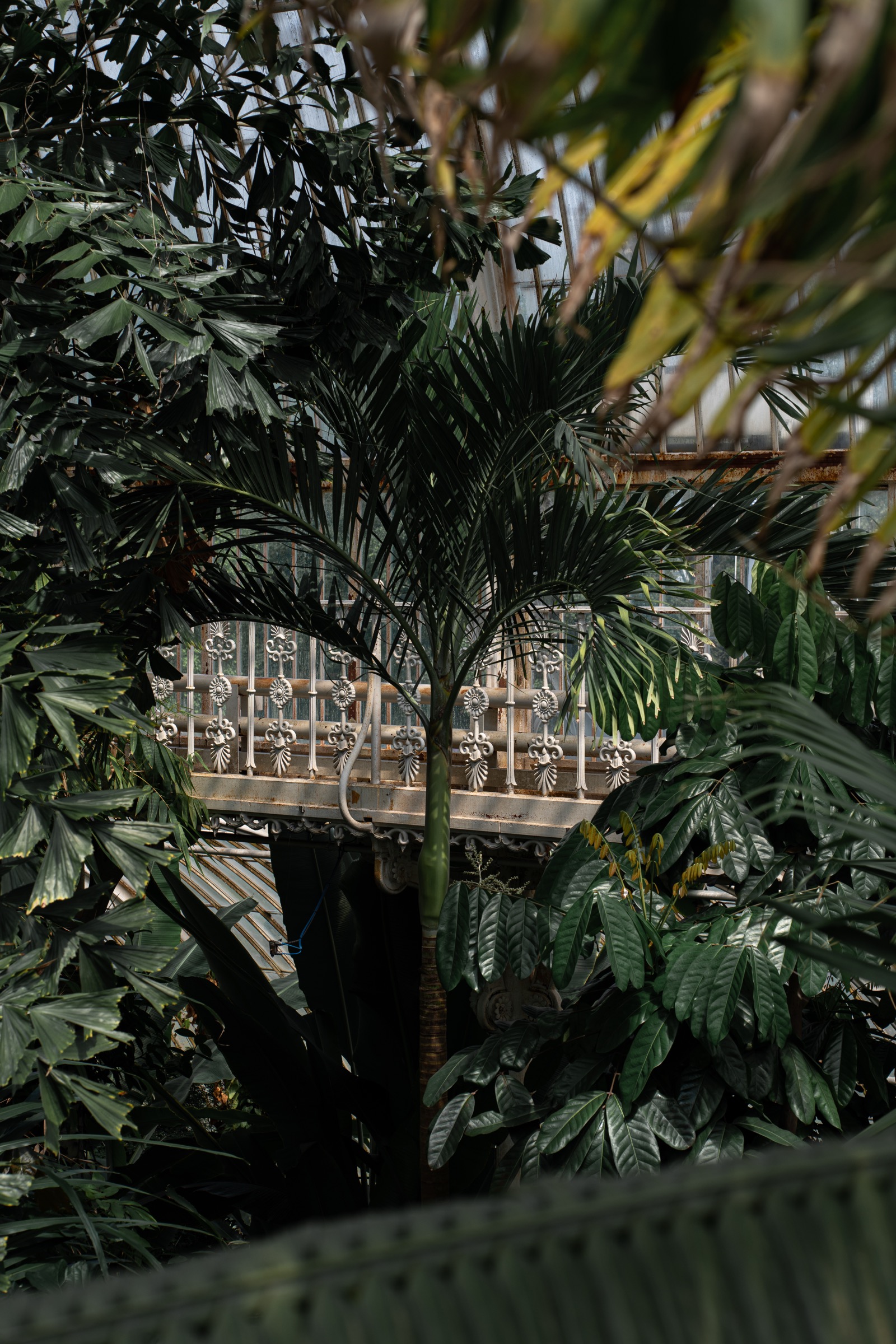 Glasshouse facade, Royal Botanic Gardens, Kew