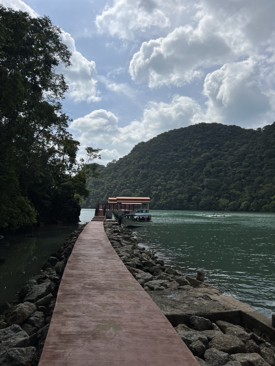 Wooden jetty leading into calm water with forested hillside beyond, Langkawi
