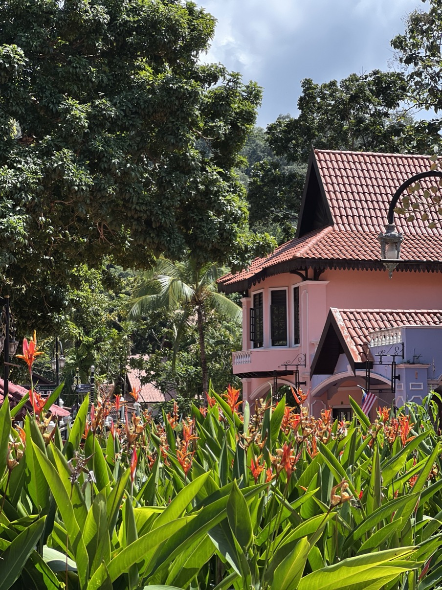 Pink building with orange tropical flowers and canopy, Langkawi