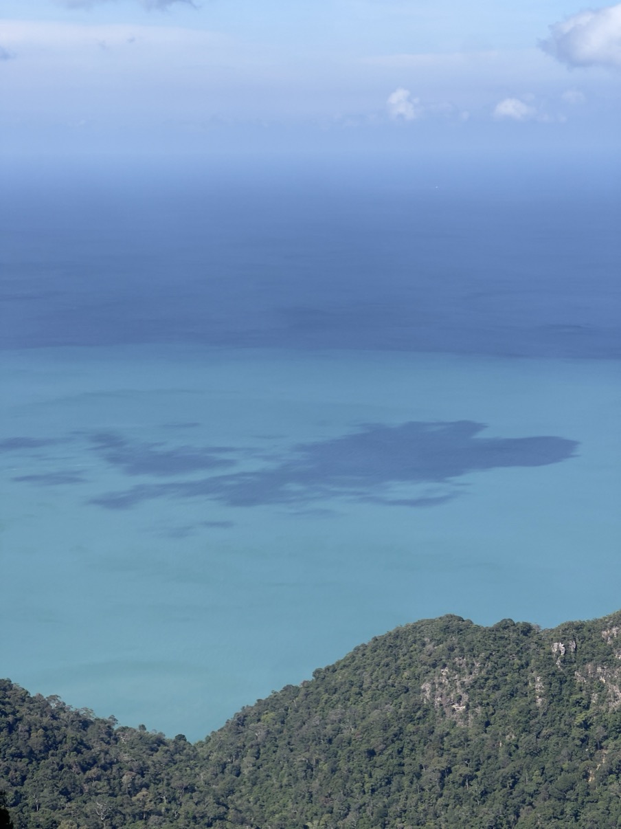 Aerial view of rainforest edge dissolving into open sea, Langkawi