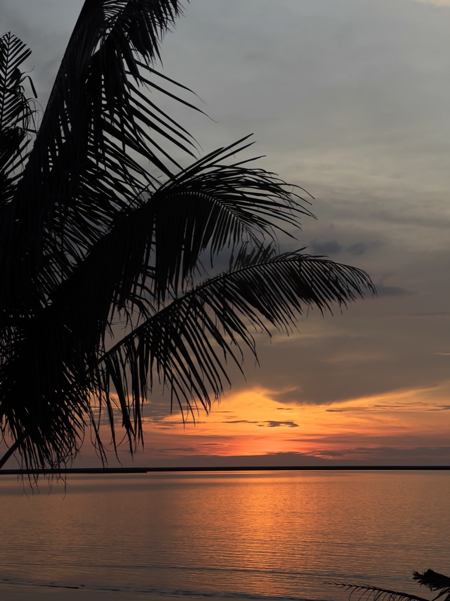Palm silhouette against a warm sunset over the sea, Langkawi