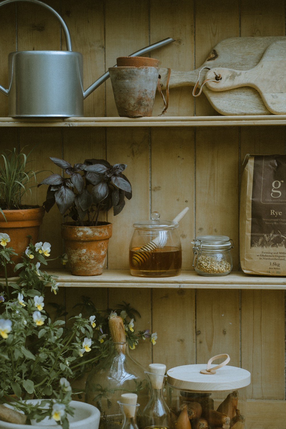 A dresser shelf holding a watering can, honeycomb in a jar and pots of basil, The Savills Garden, RHS Chelsea Flower Show, London
