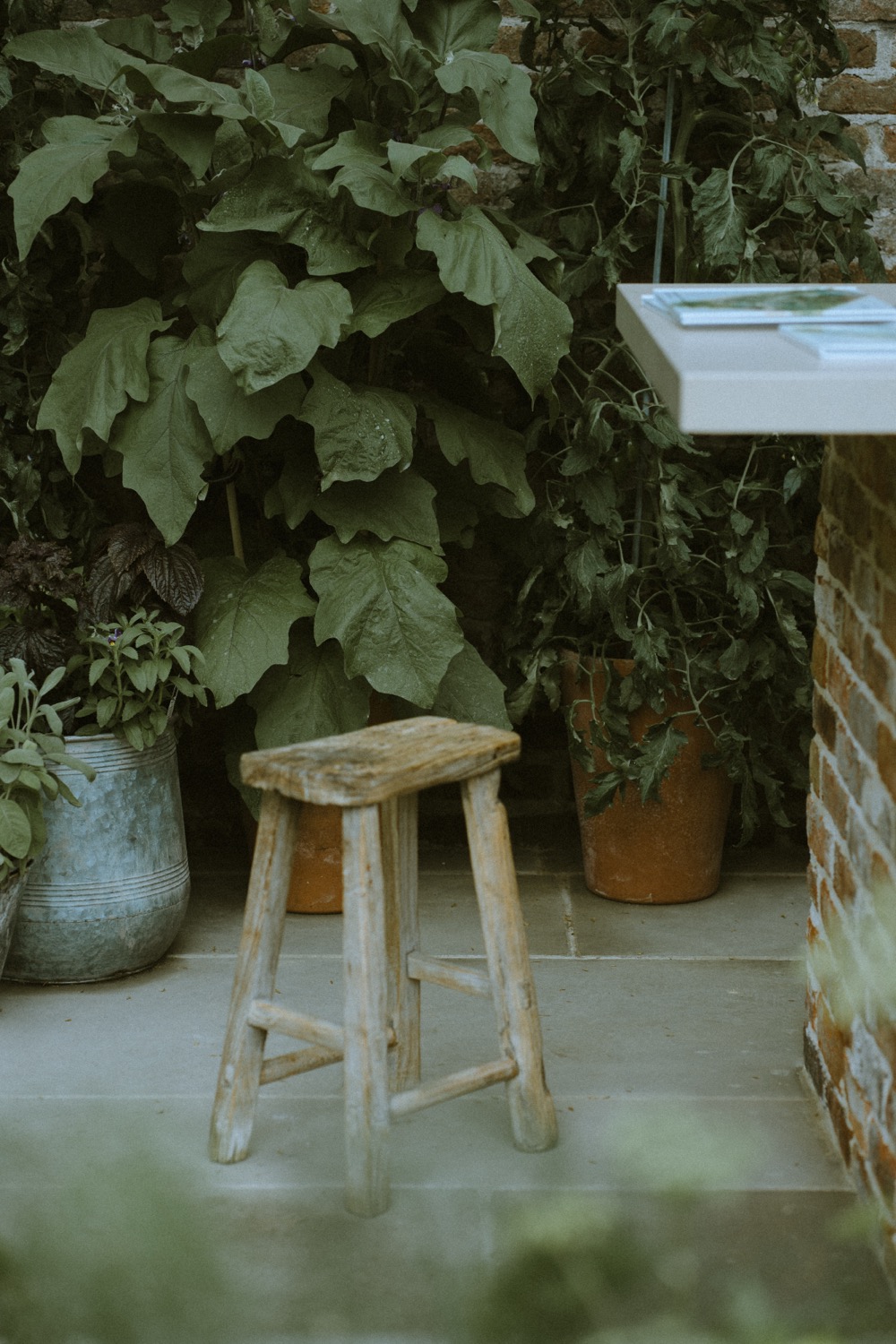 A worn elm stool beside pots of aubergine and tomato plants, The Savills Garden, RHS Chelsea Flower Show, London