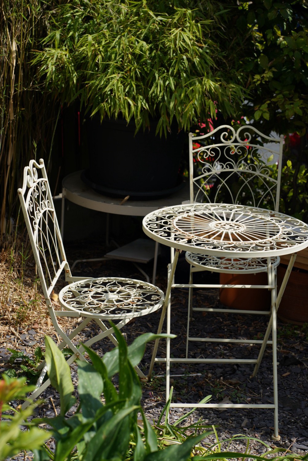 Ornate iron chairs in the garden shade, home