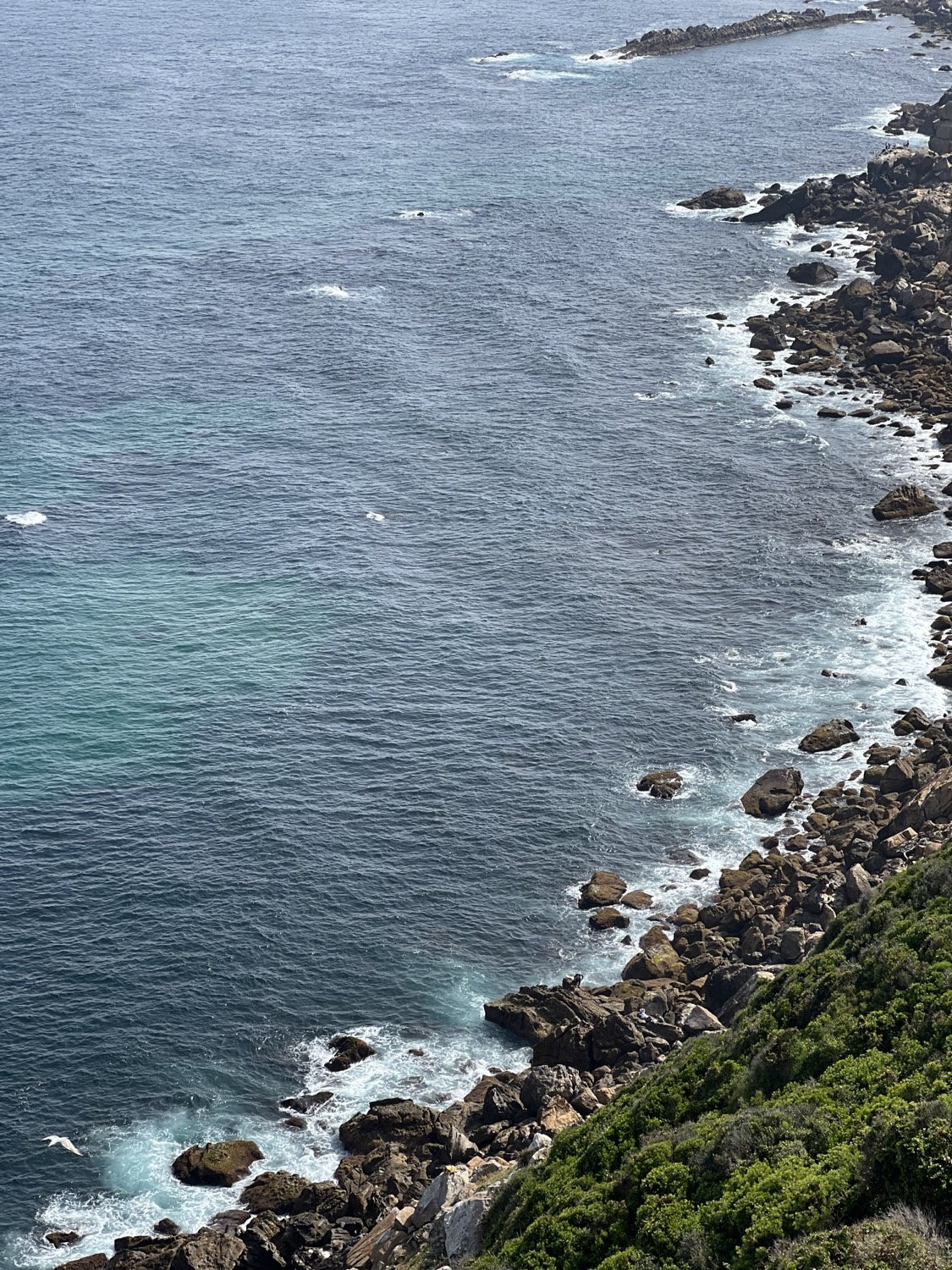 Rocky coastline seen from above, teal water and white foam breaking on dark stone, shrubs in foreground