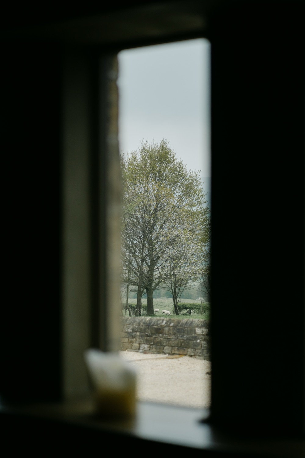 Small dark window frame looking out to a bare spring tree and dry stone wall in the countryside