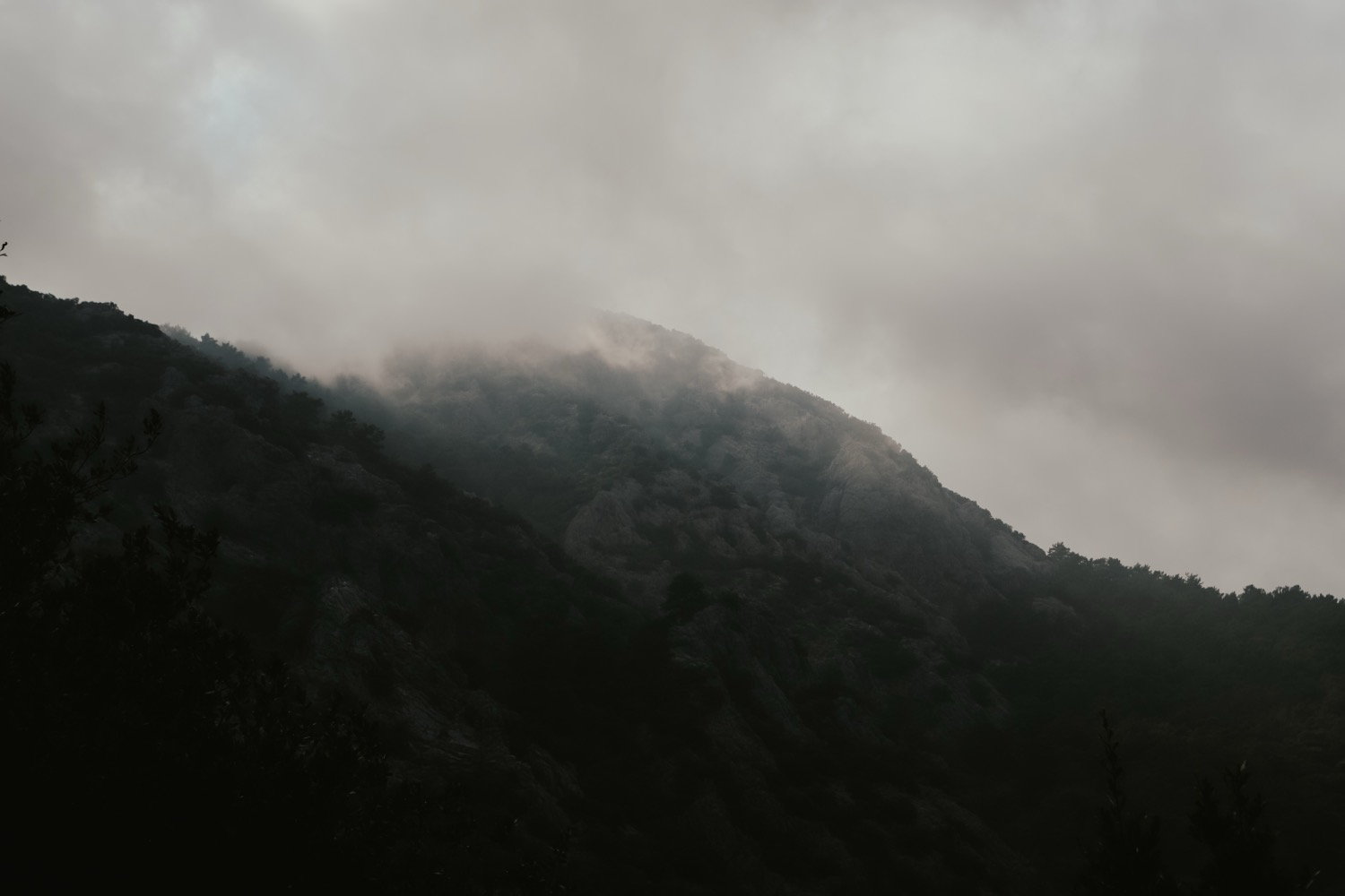 Dark forested ridgeline with cloud and mist rolling over the top, grey overcast sky