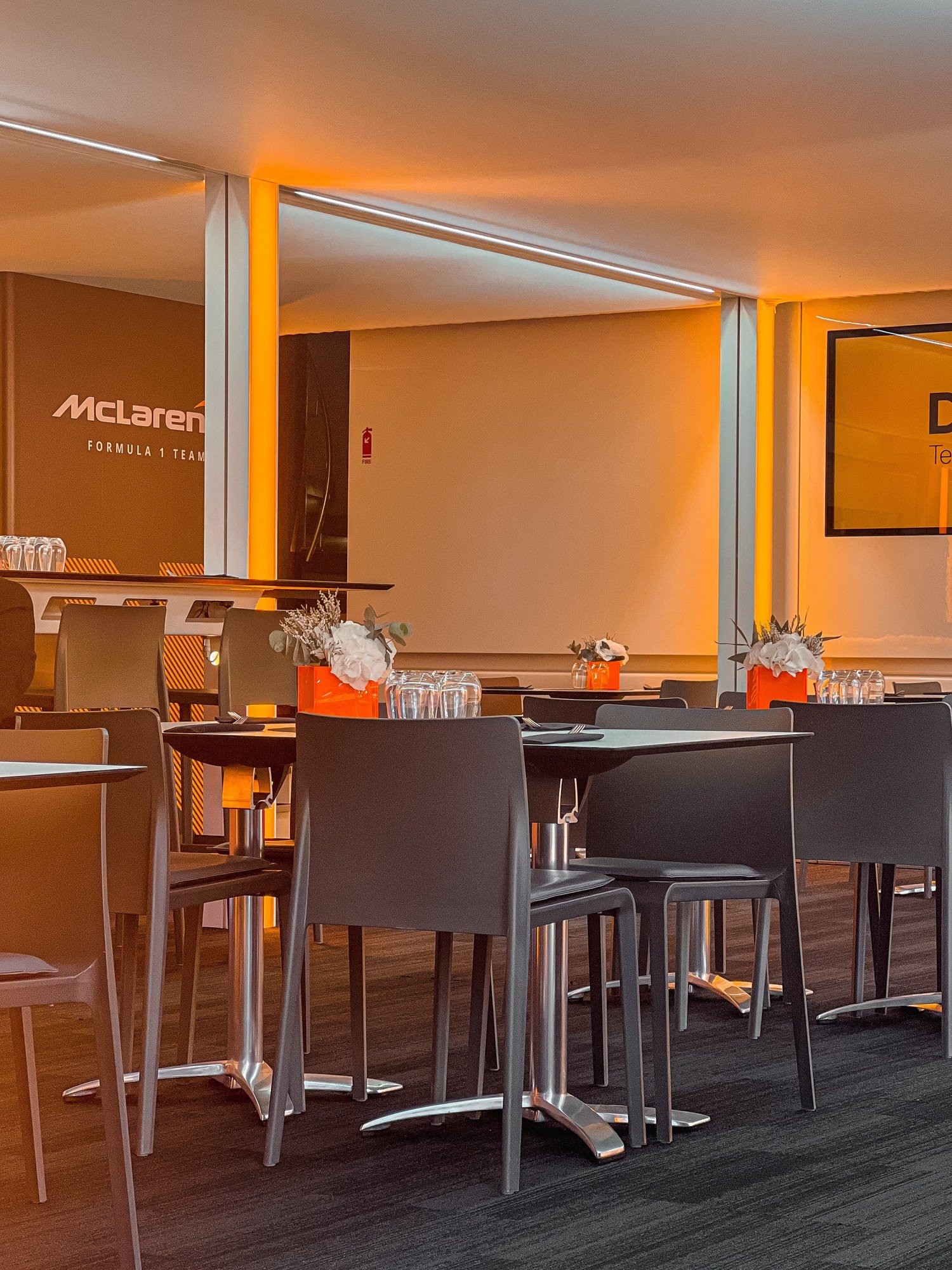 The paddock suite