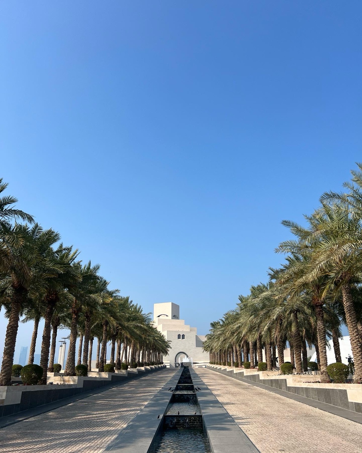 Tree-lined approach to the Museum of Islamic Art, Doha