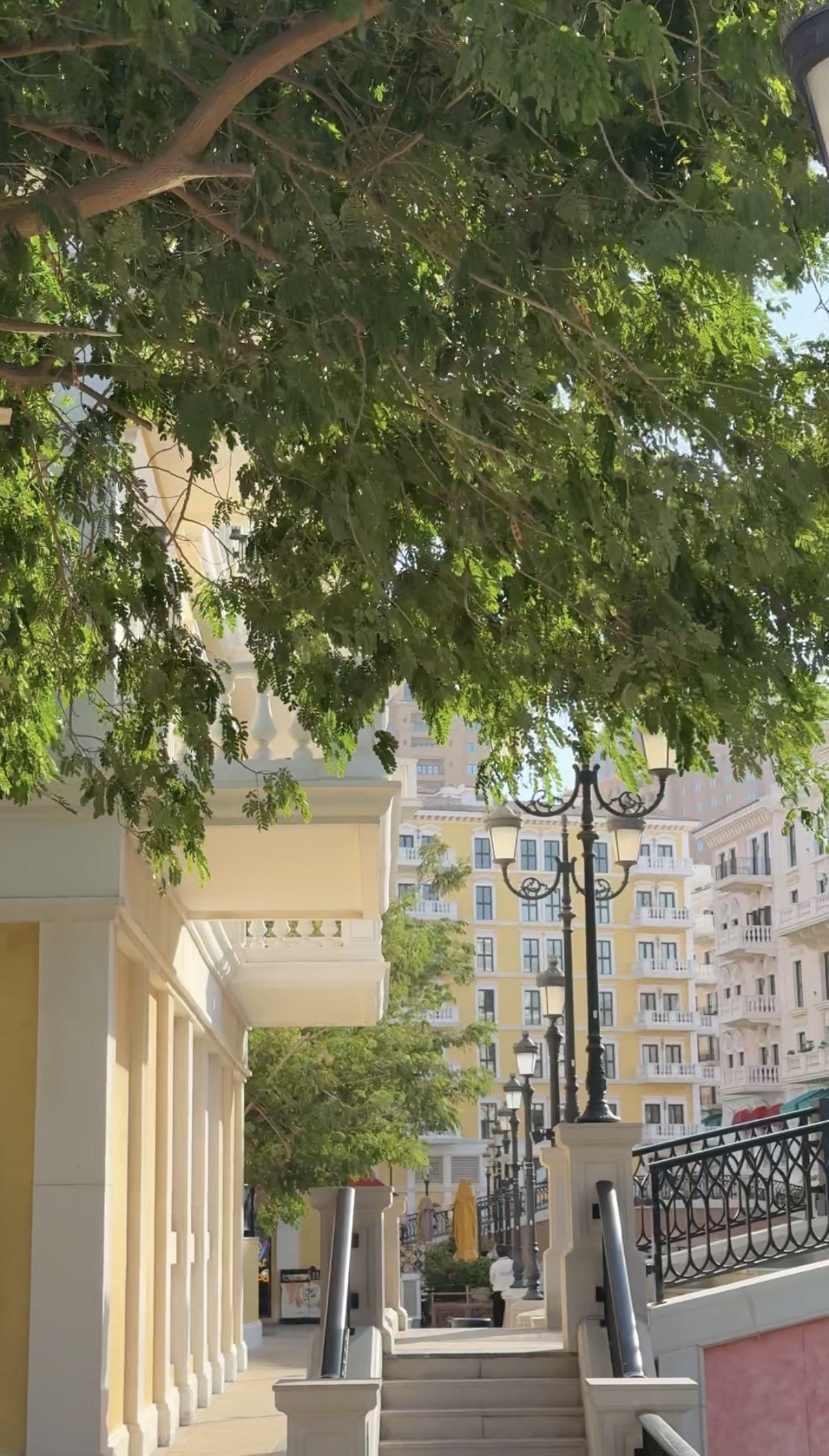 A lane of stairs climbing beneath a green tree, Qanat Quartier, Doha