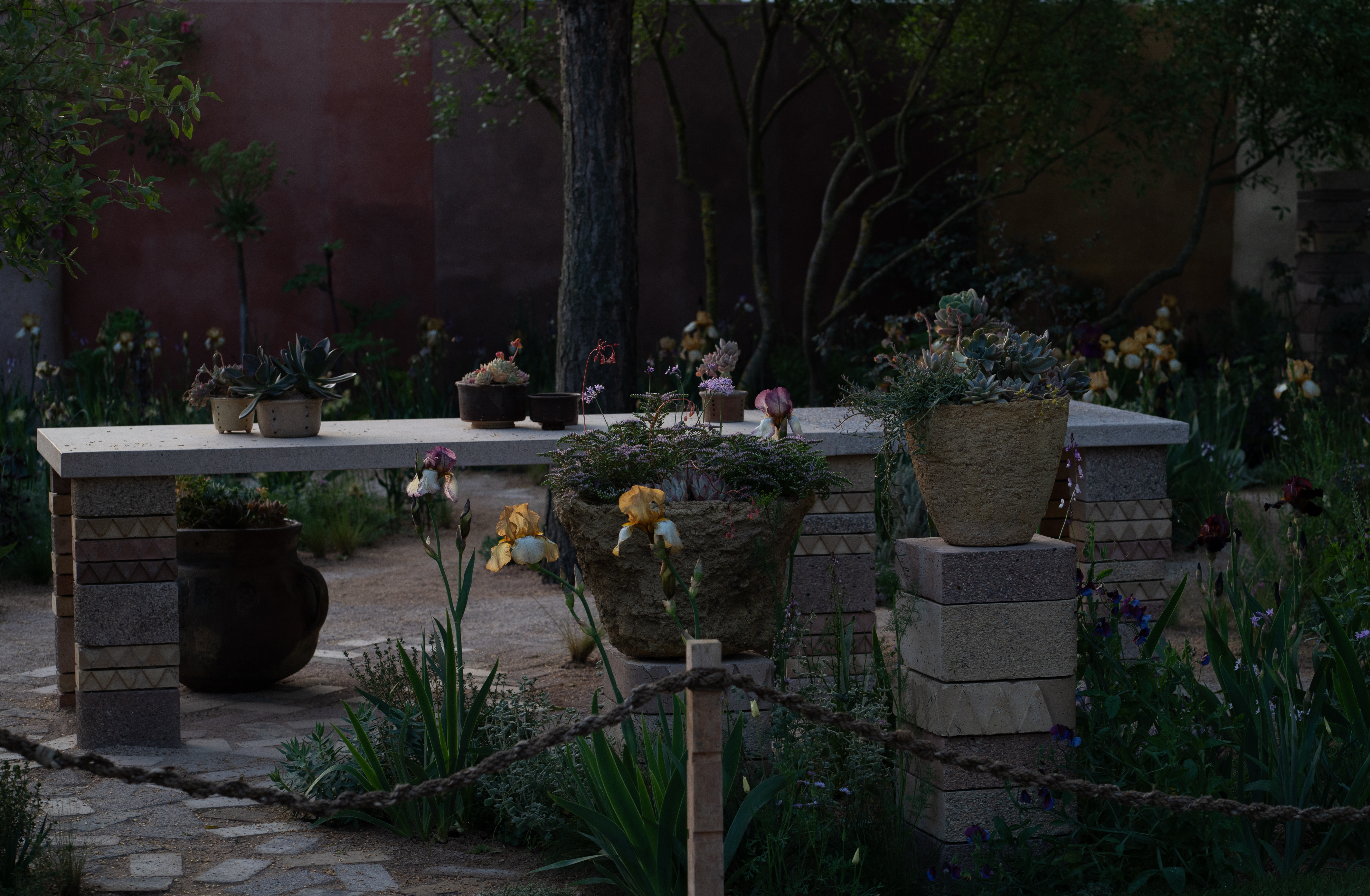 Terracotta vessels and a low table surrounded by textured planting in Sarah Price's garden.