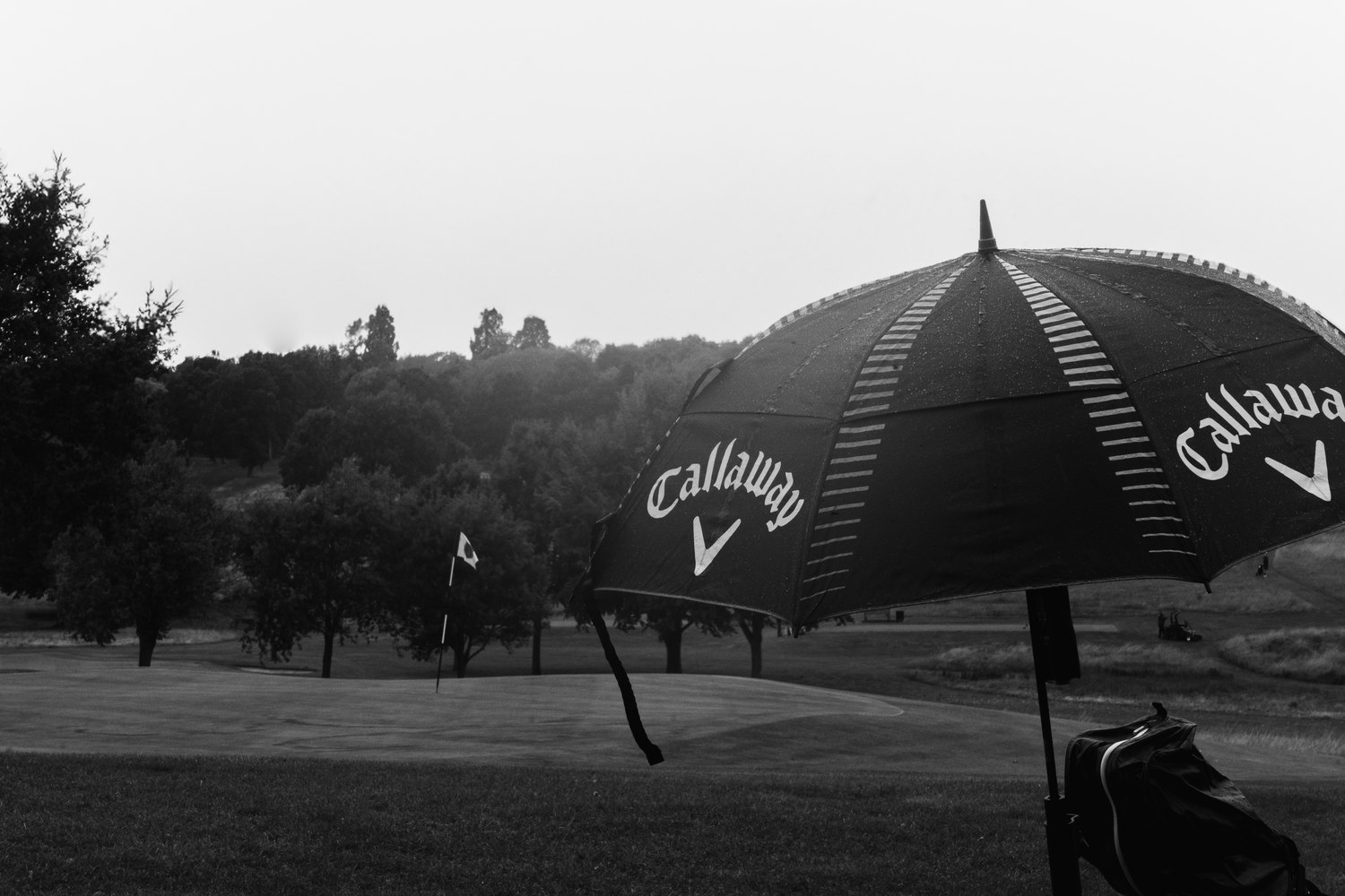 An umbrella open above the bags in the rain, in black and white, Rochester & Cobham Park, Kent