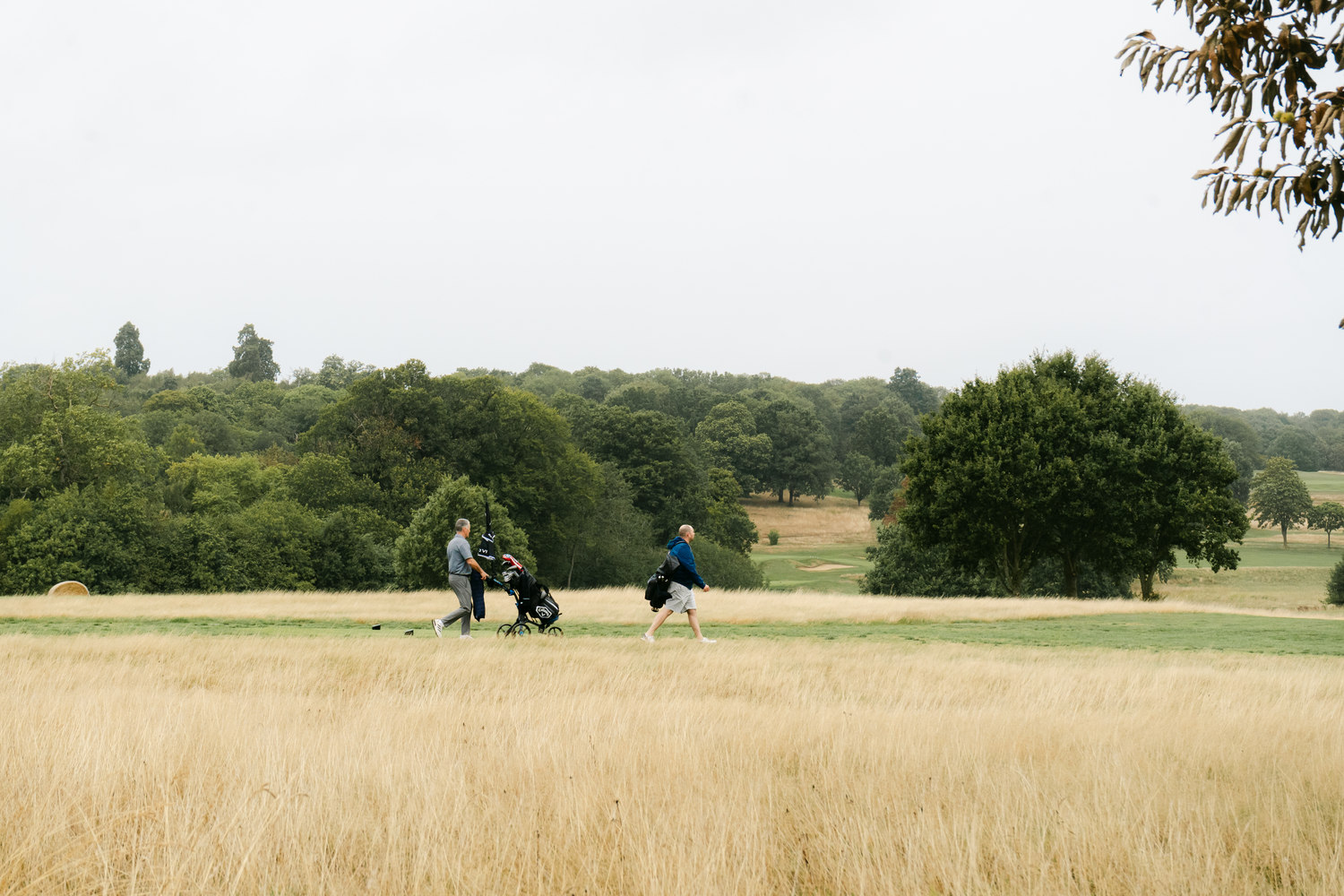 Players crossing the long grass with parkland beyond, Rochester & Cobham Park, Kent