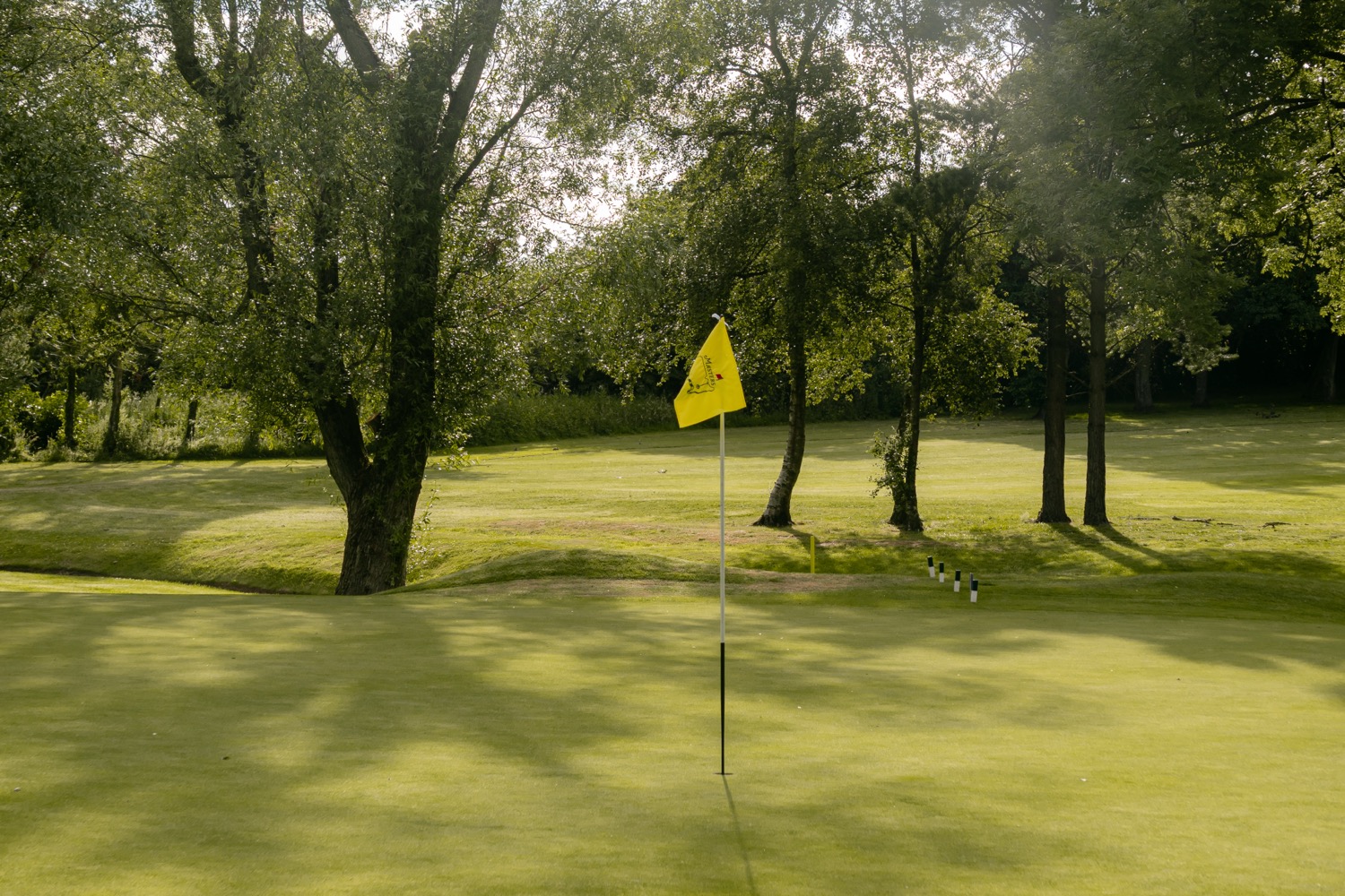 A sunlit green with a yellow flag among the trees, Magnolia Classic, Horsforth Golf Club, Leeds