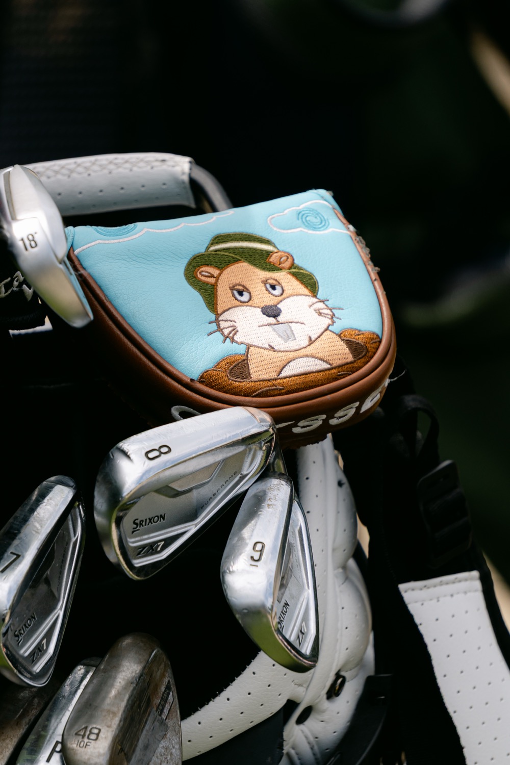 Irons and a cartoon headcover gathered in a golf bag, Magnolia Classic, Horsforth Golf Club, Leeds