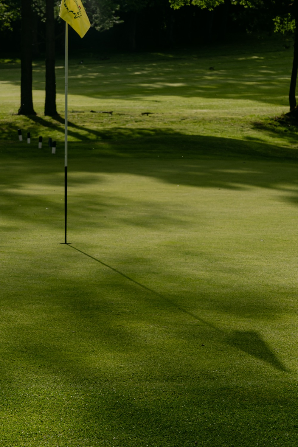The flag casting a long evening shadow across the green, Magnolia Classic, Horsforth Golf Club, Leeds