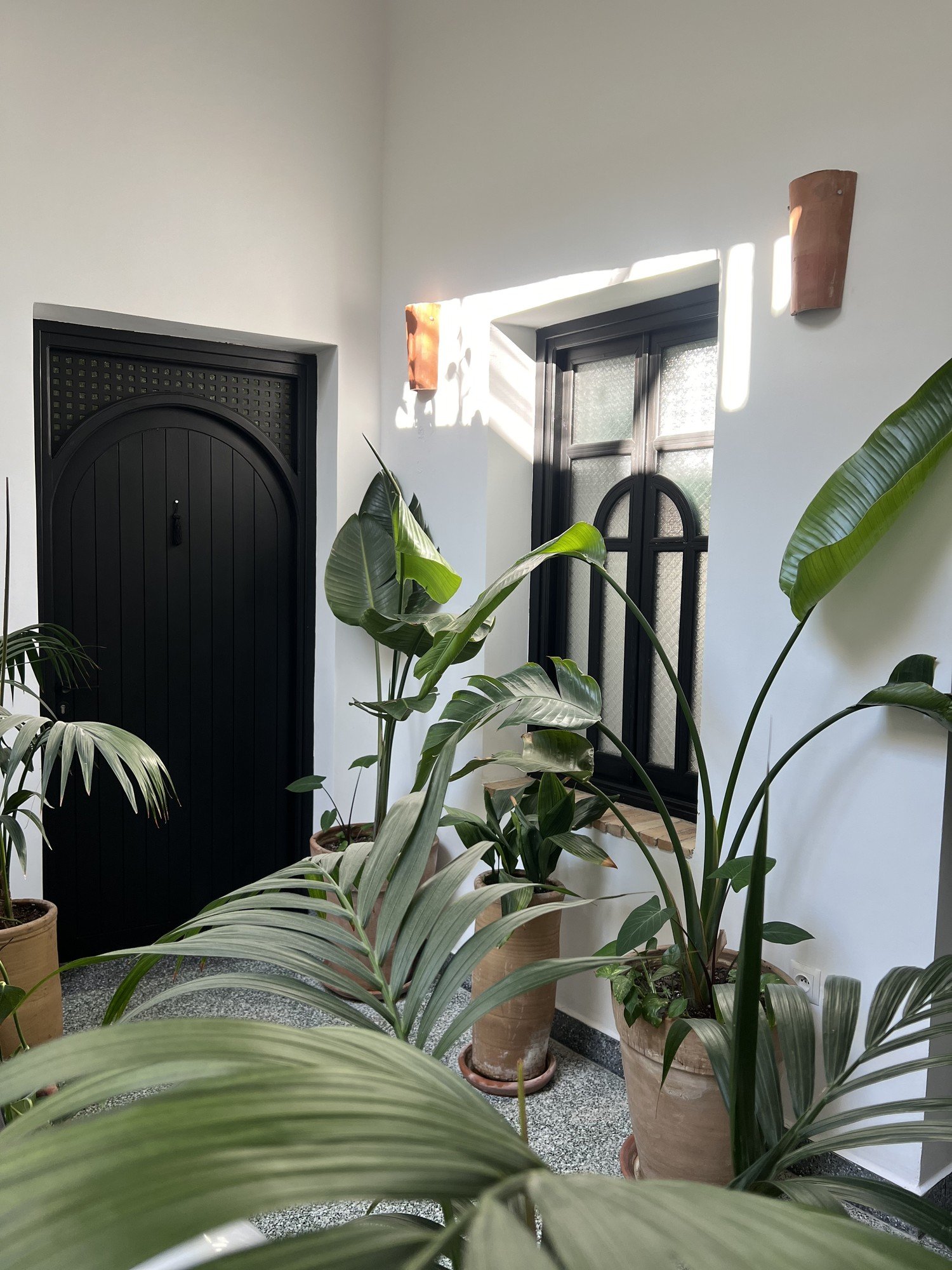 The arched door, kept, Tangier, Morocco